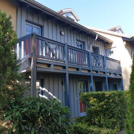 Haus umgeben von einem gepflegten Garten mit Büschen und Bäumen