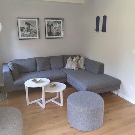Modernes Wohnzimmer mit grauem Sofa und dekorativen Kissen